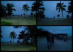 (04) predawn montage (day 4).jpg    (1000x720)    286 KB                              click to see enlarged picture